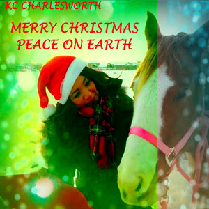 Merry Christmas Peace on Earth