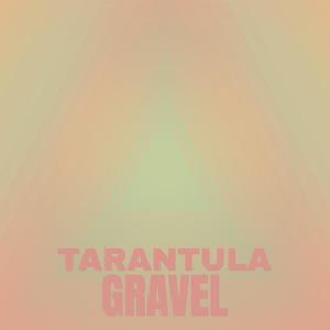 Tarantula Gravel