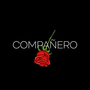 COMPAÑERO