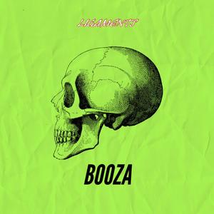 Ligaments (Explicit)