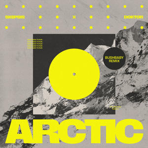 Arctic (Bushbaby Remix)