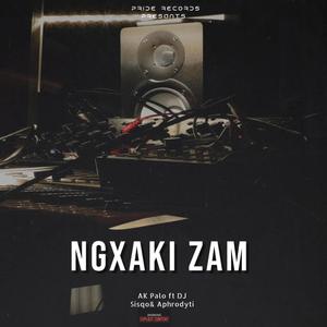 Ngxaki Zam (feat. Aphrodyti & DJ Sisqo) [Radio Edit]