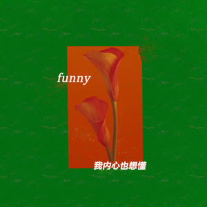 f u n n y (我内心也想懂)