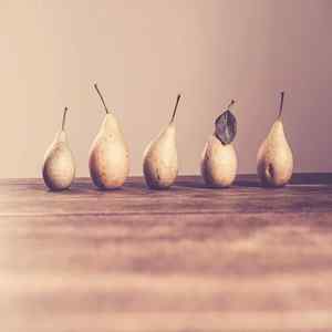 抚慰的酒吧回忆