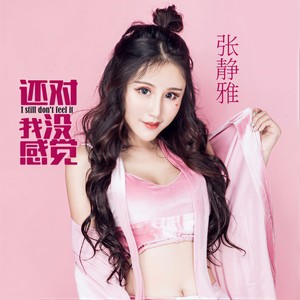 张静雅 - 还对我没感觉 (伴奏)
