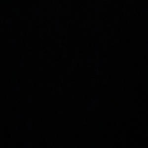 Im Sorry For What I Did (Explicit)