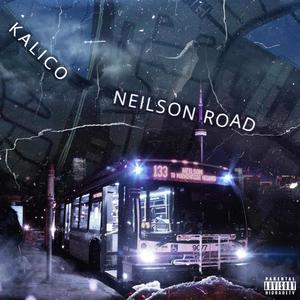 Neilson Road (feat. Jamaica Spoilaz & Fabigeez) [Explicit]