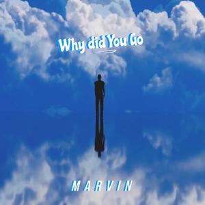 WHY DID YOU GO (Explicit)