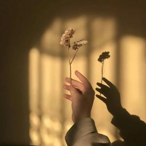 PASSO BEM SOLTD(崔然竣进行曲)-威尔东