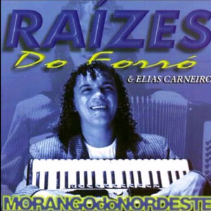 RAÍZES DO FORRÓ VOL 5 - MORANGO DO NORDESTE 1999