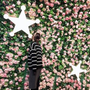 多想在平庸的生活抱住你 (COVER版)