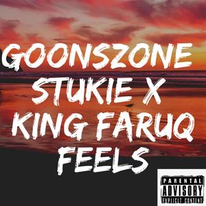 Feels (feat. King Faruq) [Explicit]