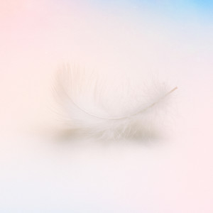 The Blisters On My Fingertips