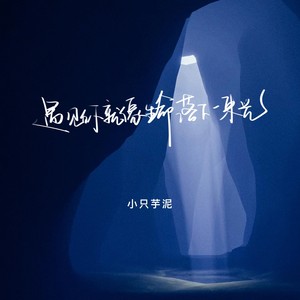遇见你就像生命落下一束光