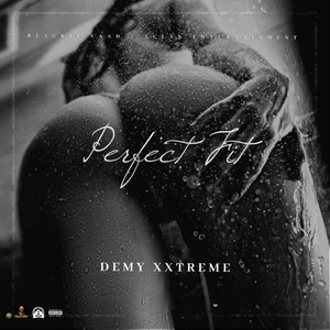 Perfect Fit (Explicit)