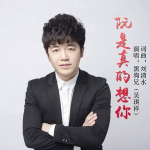 阮是真的很想你MIX_2