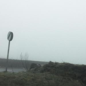 LIVINGDIFFERENT (Explicit)