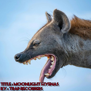 Moonlight Hyenas (Extended Version)