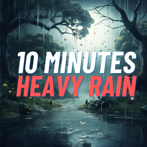 10 Minutes Heavy Rain