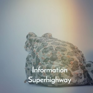 Information Superhighway