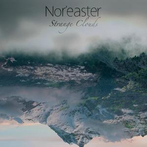 Follow Me, Gravity (feat. Nicole Miller)