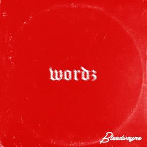 Wordz (Explicit)