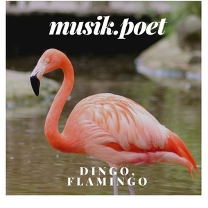 Dingo, Flamingo (English Version)