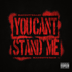 You Cant Stand Me (Explicit)