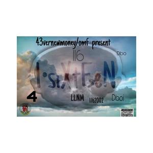 Polofif dogfood (Explicit)