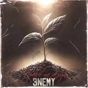 Право на жизнь