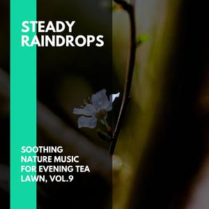 Steady Raindrops - Soothing Nature Music for Evening Tea Lawn, Vol.9