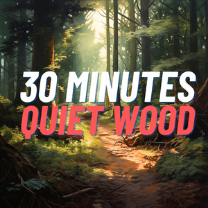 30 Minutes Quiet Wood