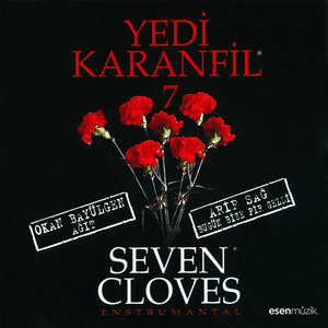 Yedi Karanfil 7