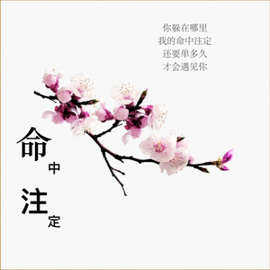你躲在哪里 (Demo)