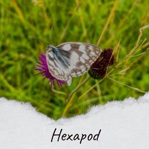 Hexapod