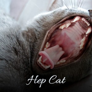 Hep Cat