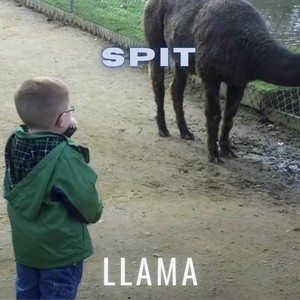 Spit (English)