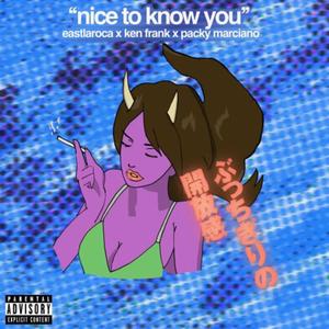 nice to know you (feat. Ken Frank & Packy Marciano) [Explicit]