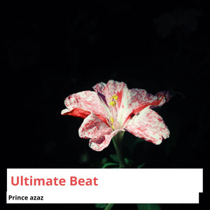 No Pain Sad Romantic Beat