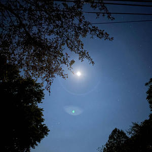 Best of Me (Explicit)