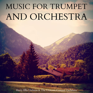 Concerto for Trumpet and Orchestra in E Flat Major: Allegro