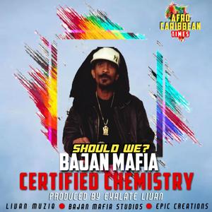 Should we (Certified Chemistry Riddim) (feat. Bajan Mafia)
