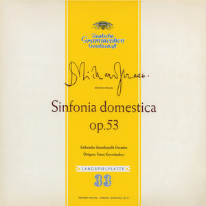 Strauss: Sinfonia domestica / Witt: Symphony in C