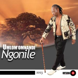 Ngonile (feat. Mnyakazisi & Mandla Nsele)
