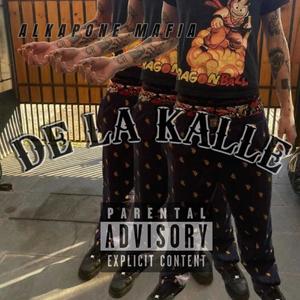 DE LA KALLE (feat. Bohemyoalkapone) [Explicit]