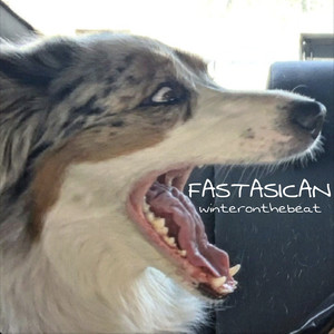 Fastasican