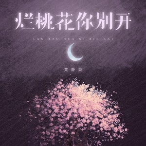 烂桃花你别开 (伴奏)