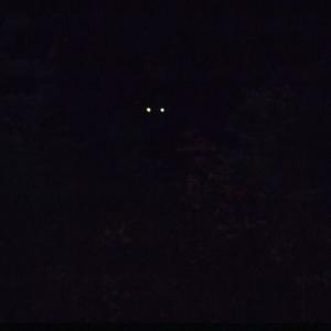 late night (Explicit)