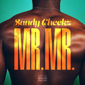 Mr Mr (Explicit)