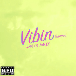 Vibin (Remix) [Explicit]